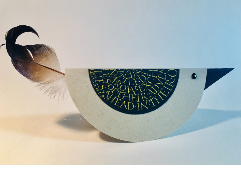 Calligraphic Dirds
