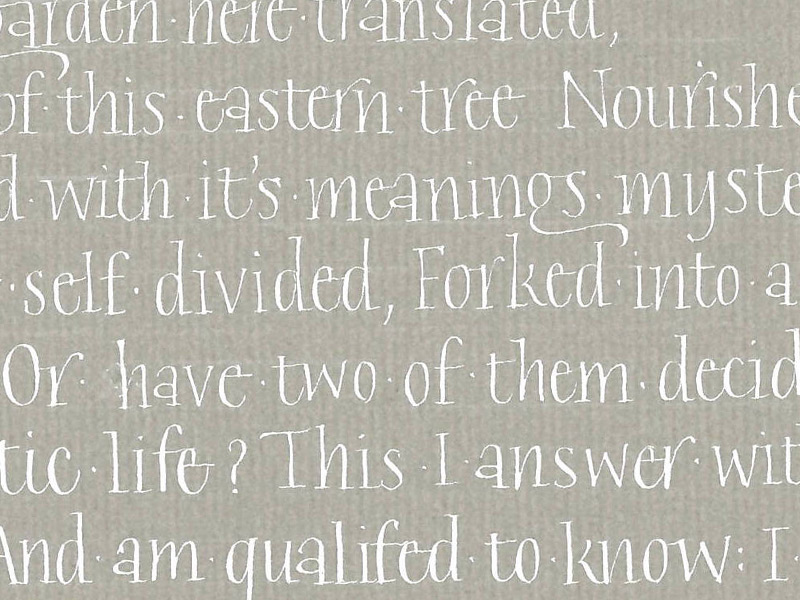 The Unconventional Pointed Pen by Suzie Beringer